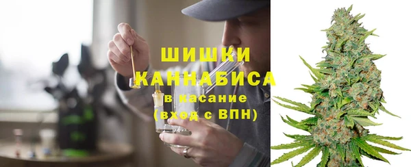 хмурый Арсеньев