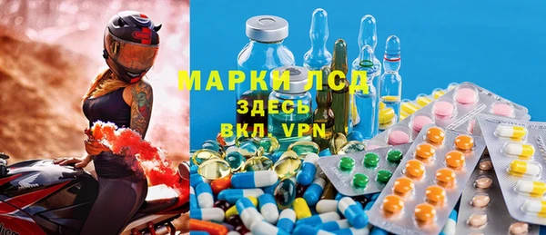 хмурый Арсеньев