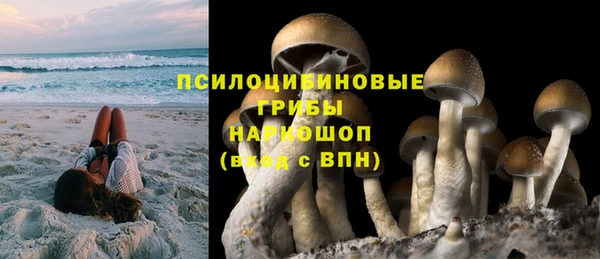 хмурый Арсеньев