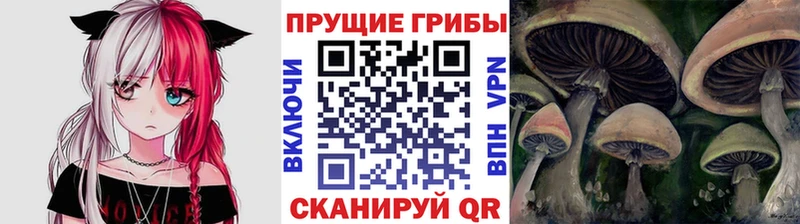 Псилоцибиновые грибы Cubensis  kraken рабочий сайт  даркнет состав  Хотьково 